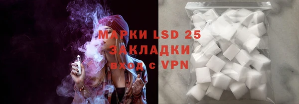 гидра Белокуриха