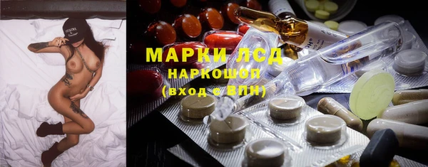 гидра Белокуриха