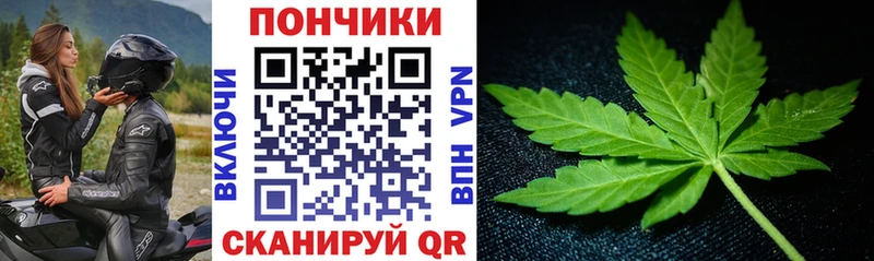 Купить Гаврилов-Ям Канабис AK-47